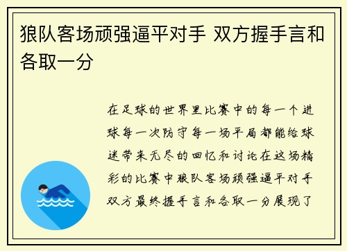 狼队客场顽强逼平对手 双方握手言和各取一分